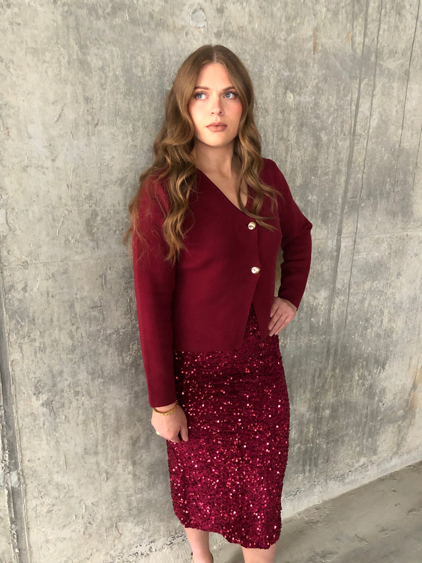 Quinlan burgundy sequin skirt