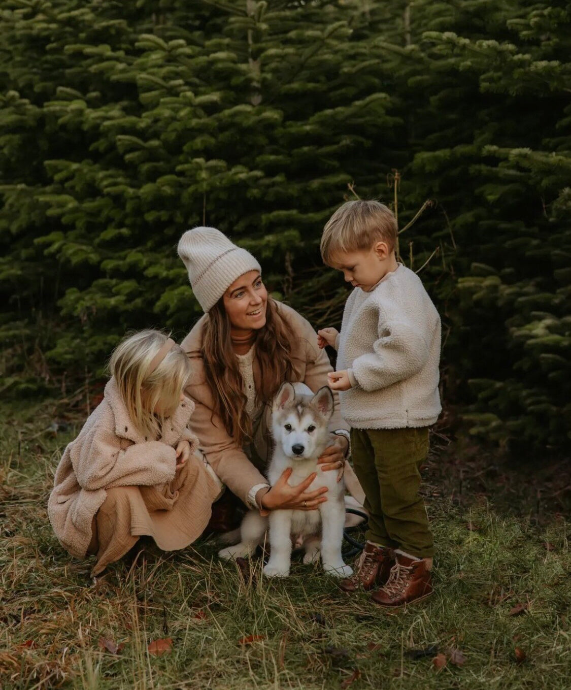 Sherpa teddy jumper