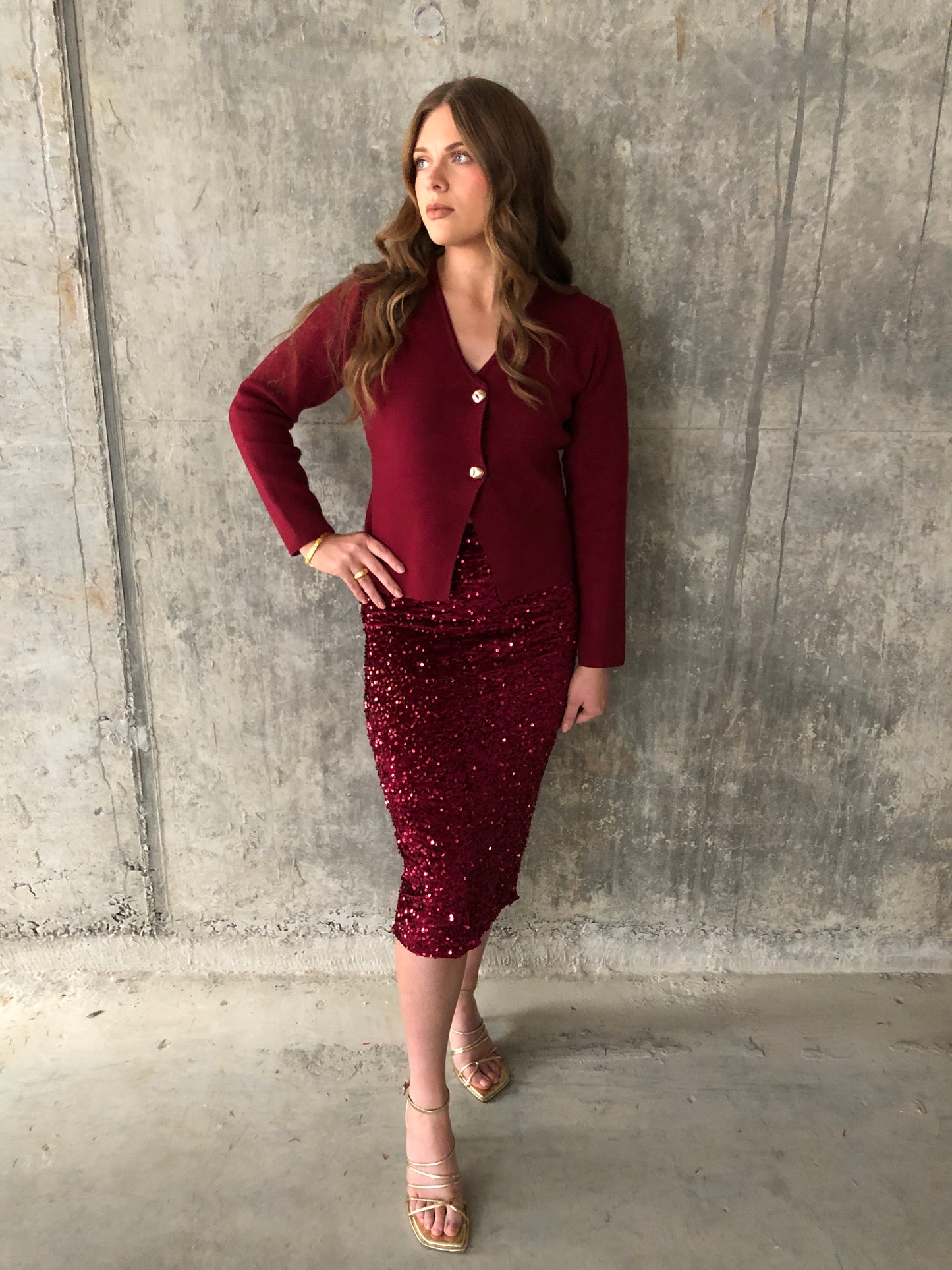 Quinlan burgundy sequin skirt