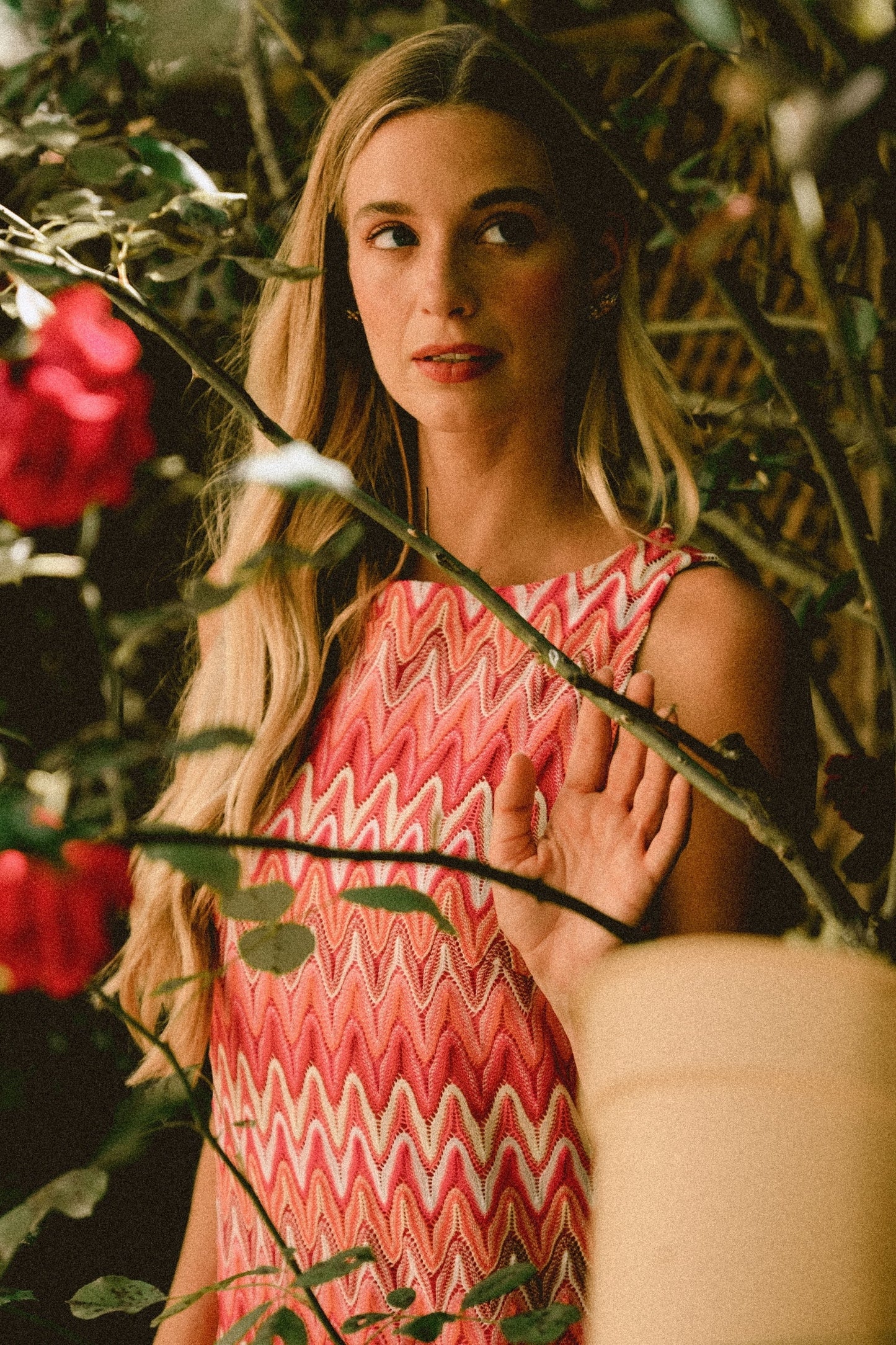 Ellie chevron red dress