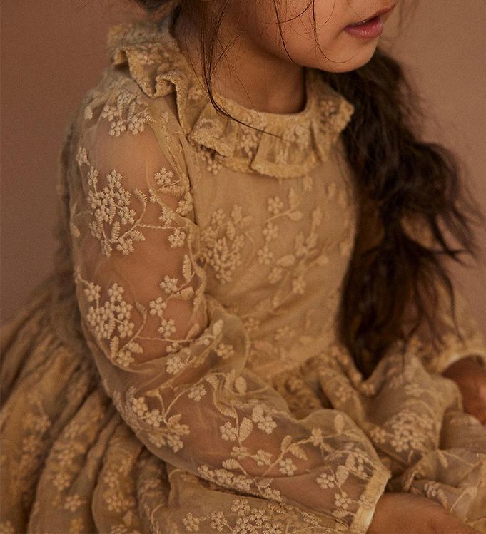 Lace embroidered dress