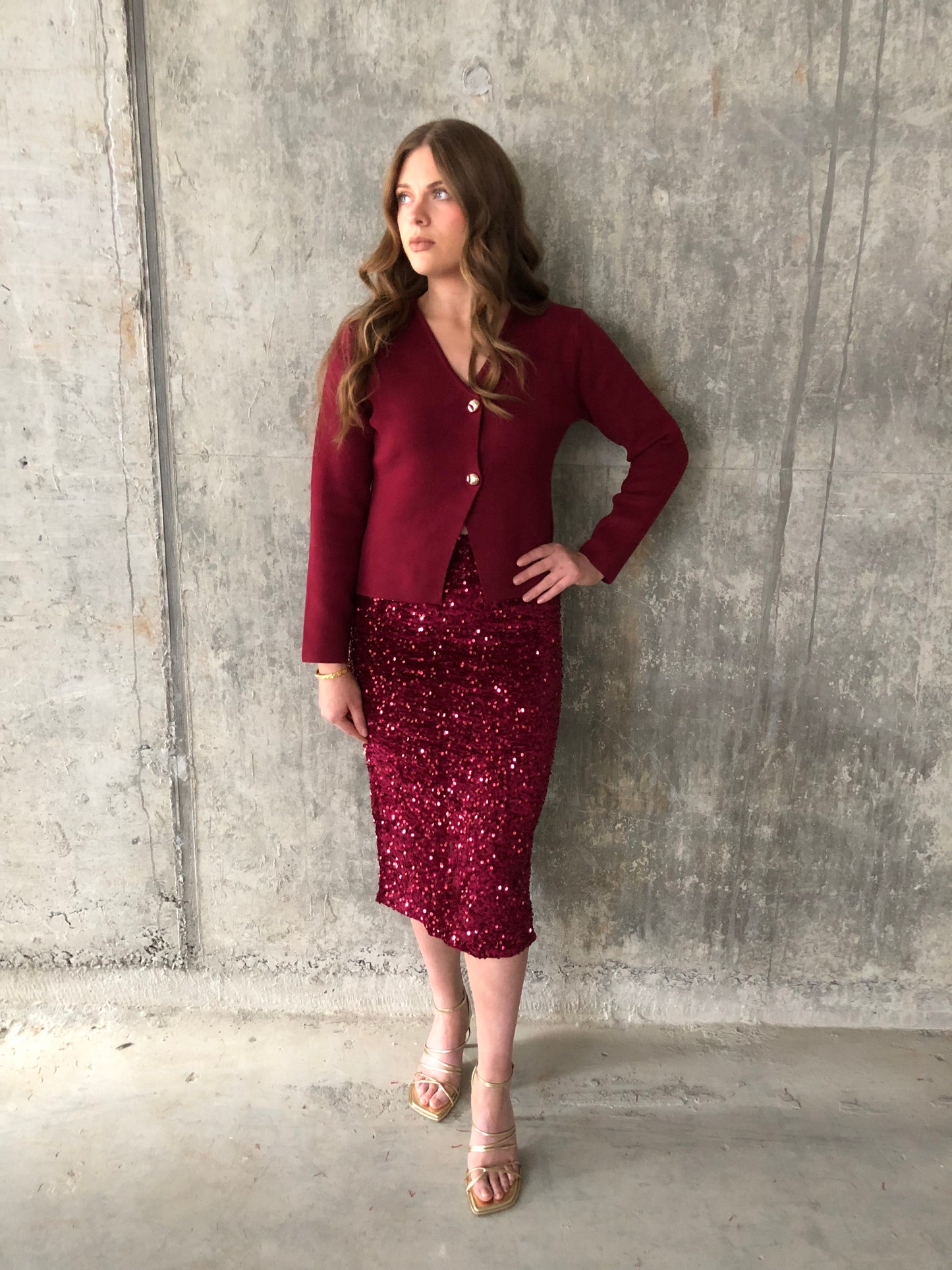 Quinlan burgundy sequin skirt