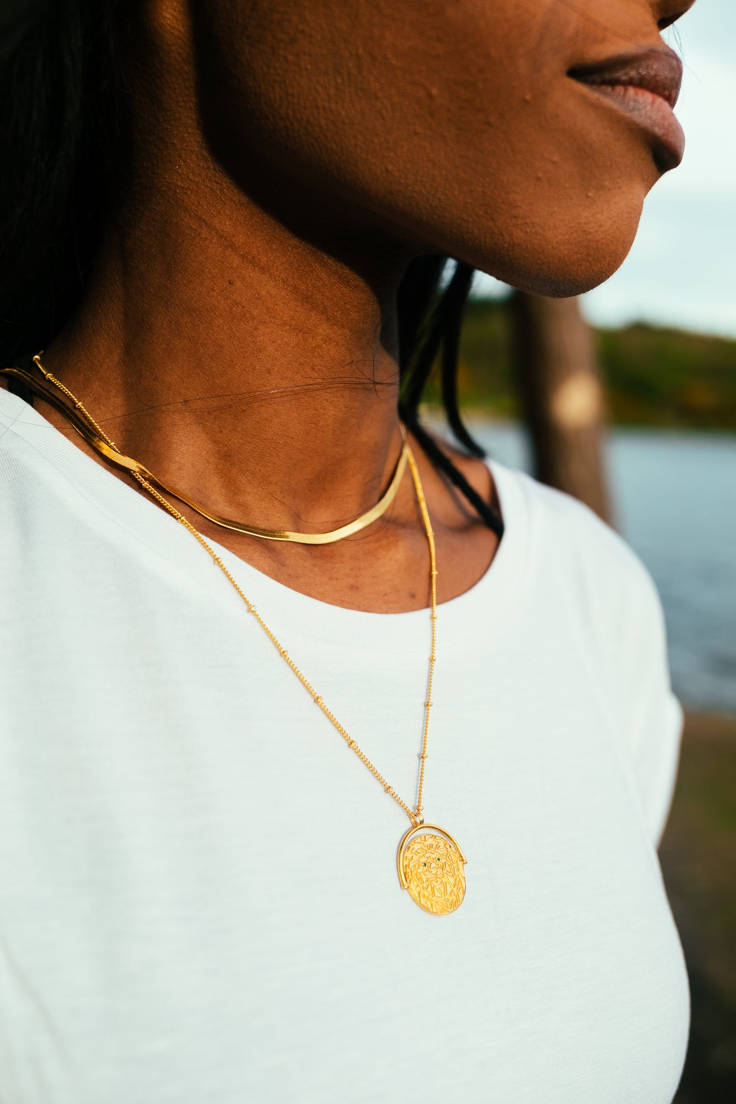 Lion Medallion Necklace