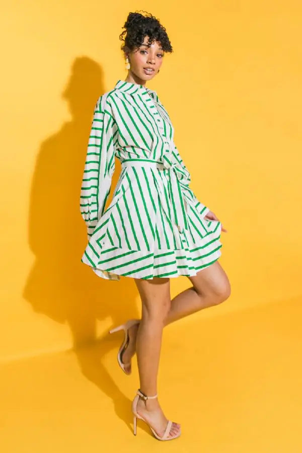 Stripe Poplin Mini Dress