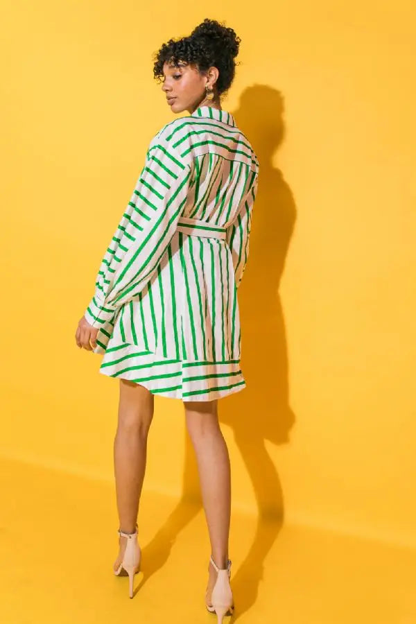 Stripe Poplin Mini Dress