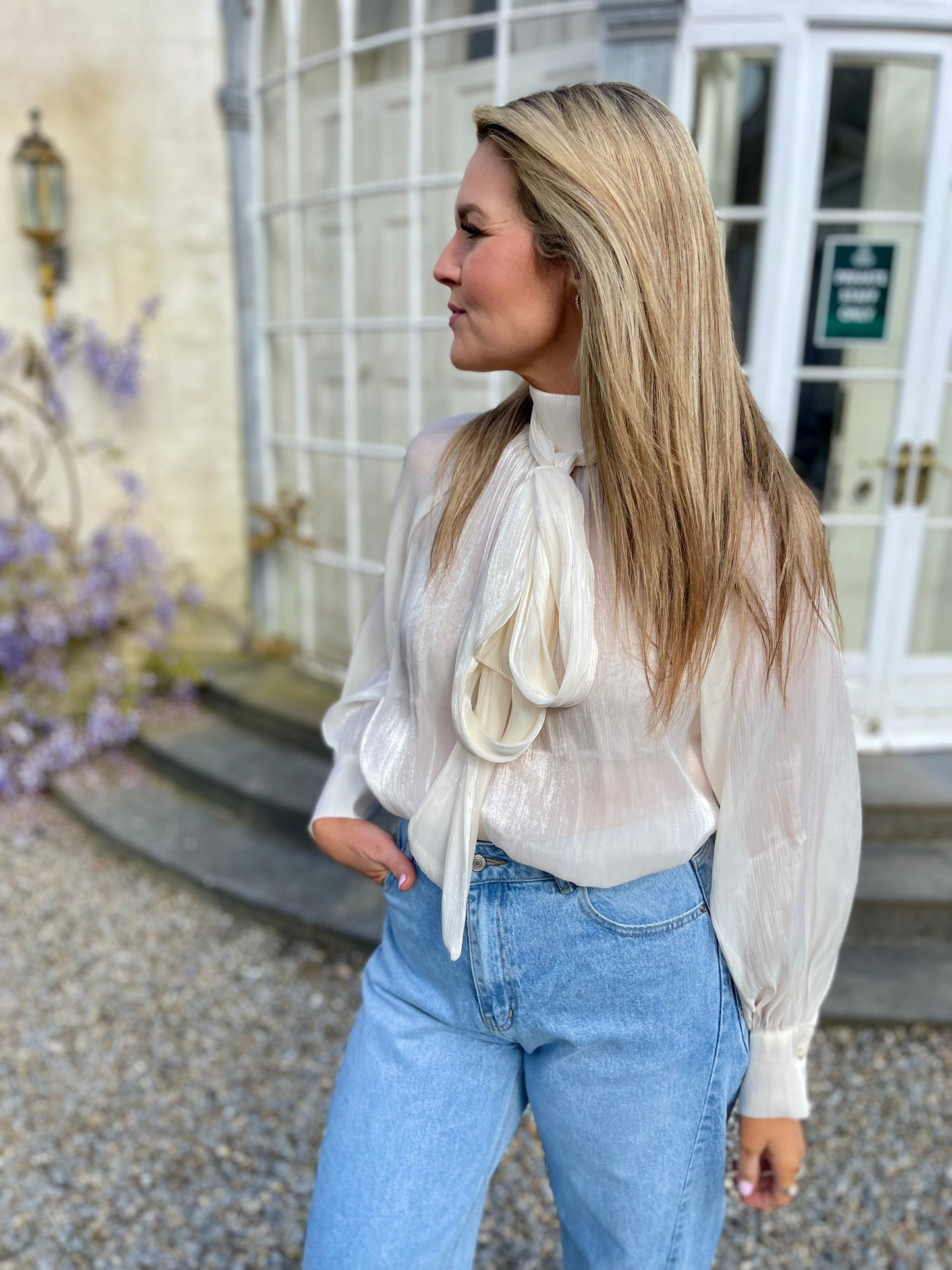Anna pussy bow semi sheer blouse