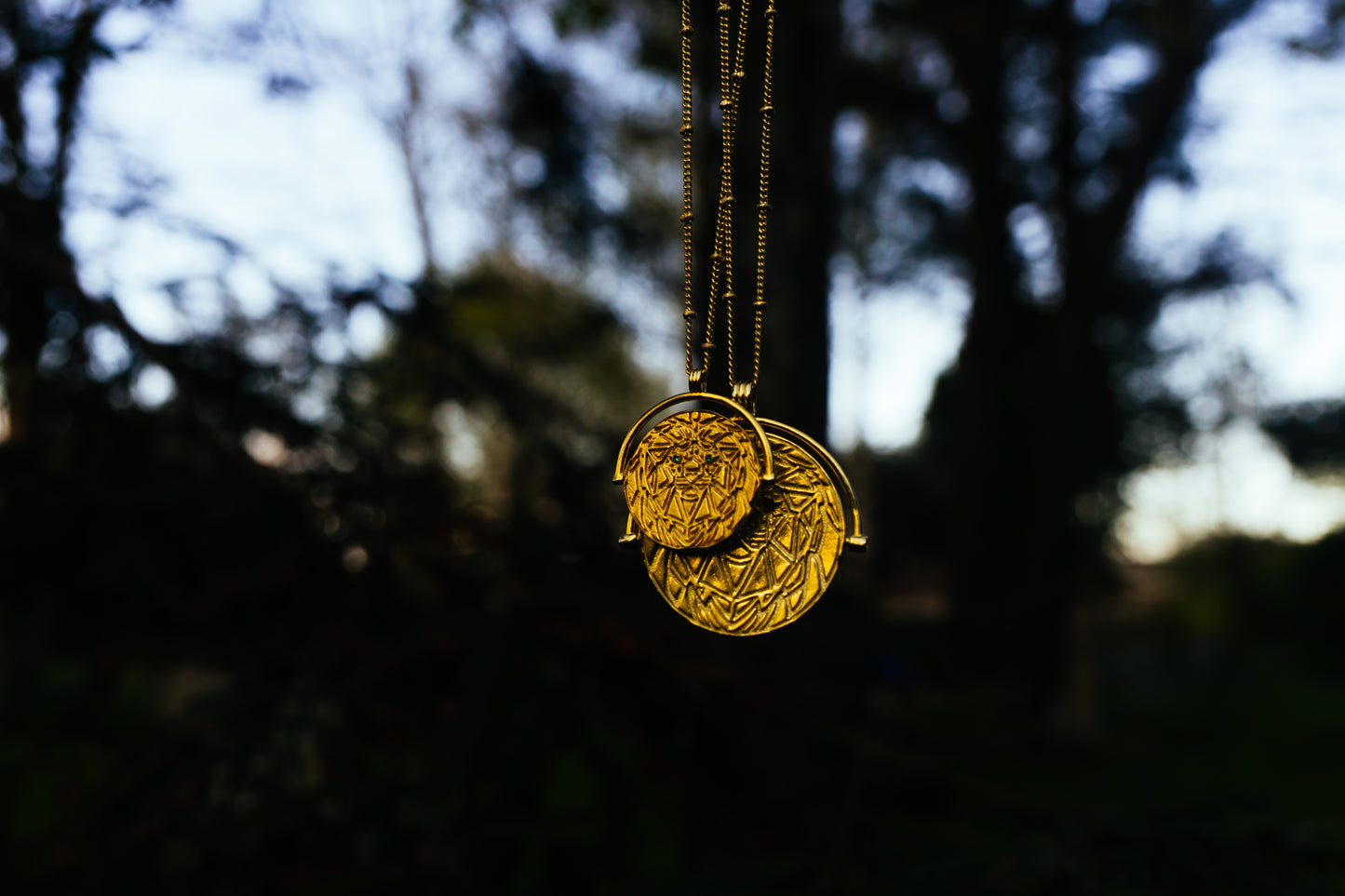 Lion Medallion Necklace