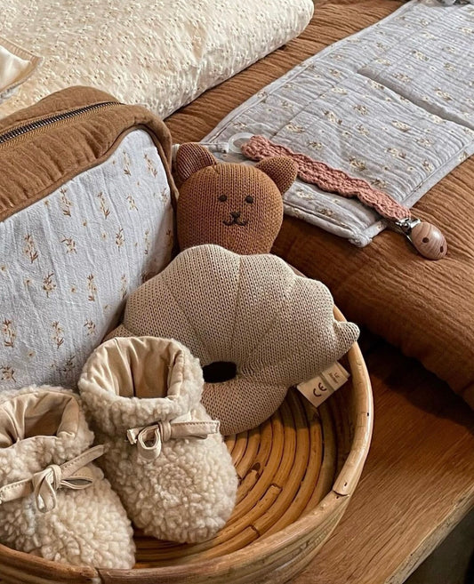 Shearling Teddy booties