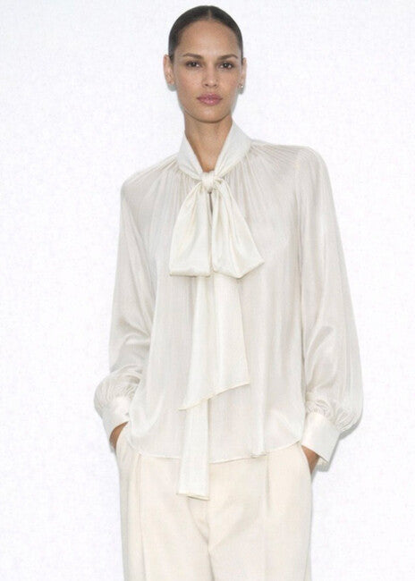 Anna pussy bow semi sheer blouse