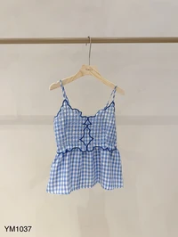 Lucy blue gingham embroidered top