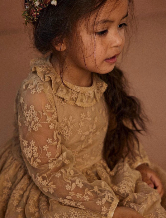 Lil' Atelier Lace embroidered dress