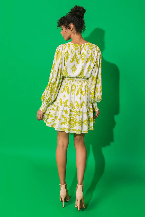Photo Finish Woven Ikat Mini Dress